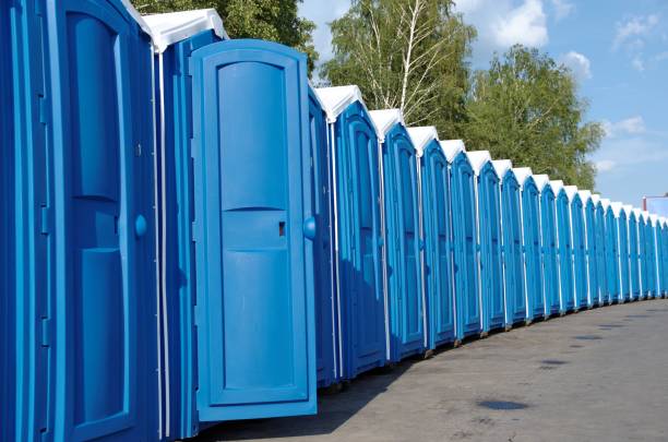 Portable Toilet Options We Offer in Dresser, WI
